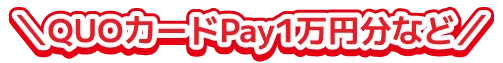 QUOカードPay1万円分など